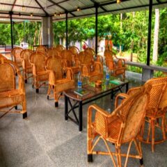 tranquil nest resort thandikudi