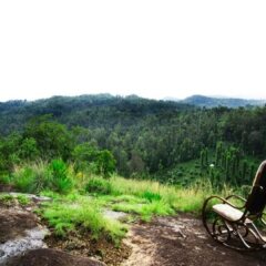 tranquil nest resort thandikudi