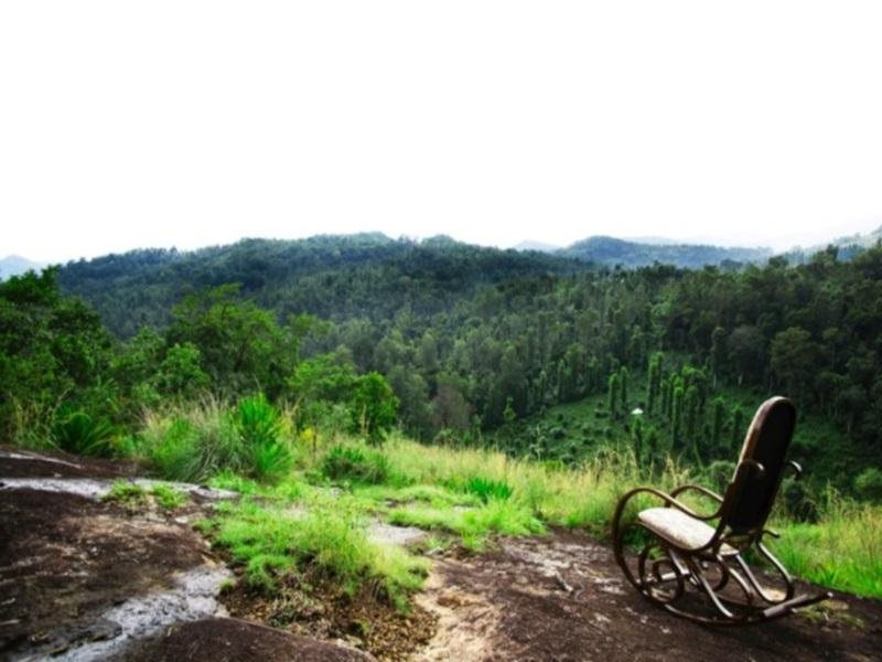 tranquil nest resort thandikudi