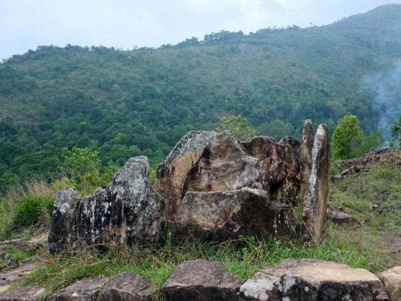 tranquil nest resort thandikudi