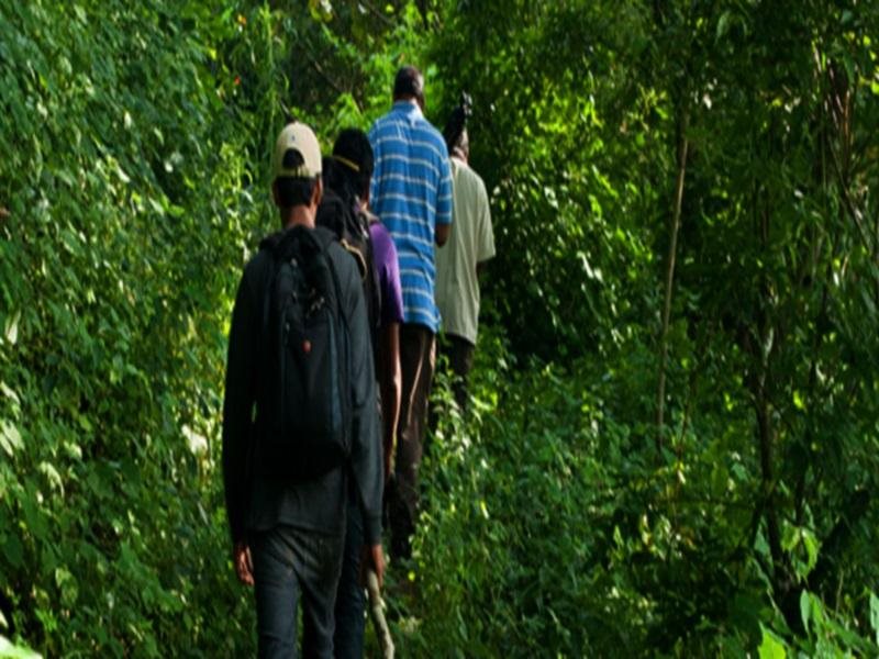 tranquil nest resort thandikudi