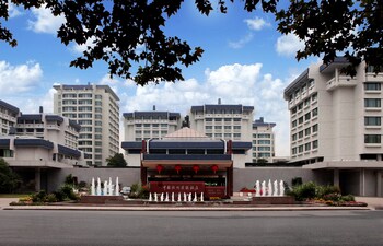dragon hotel