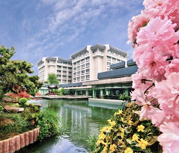dragon hotel