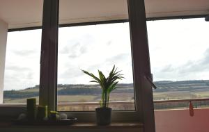 Savoy Hotel Bad Mergentheim,Main-Tauber-Kreis>>Bad Mergentheim,4 star