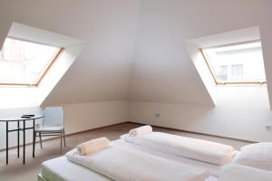 maverick urban lodge hostel