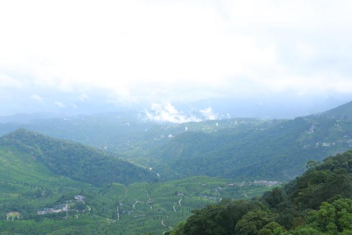 the cliff resort munnar