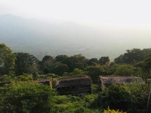 the cliff resort munnar