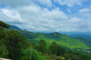the cliff resort munnar