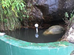 the cliff resort munnar