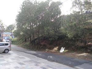lansdowne