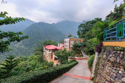 veda5 ayurveda and yoga retreat