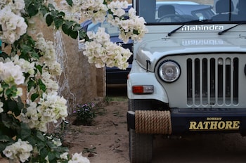 pushkar