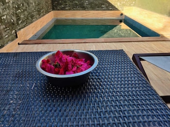 the narayan resort