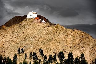 leh