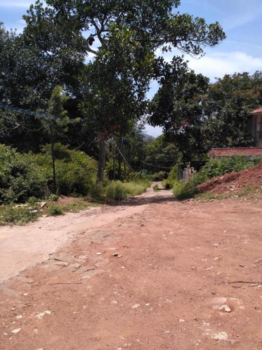 bluebell holiday inn