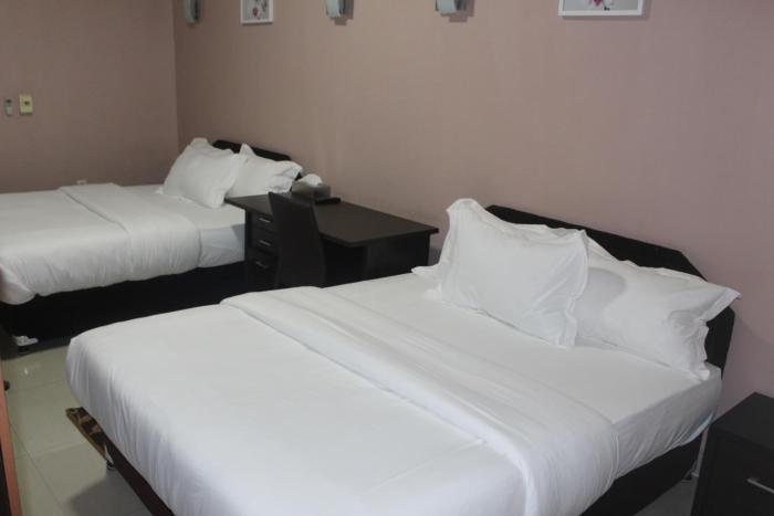 hotel everest rdc