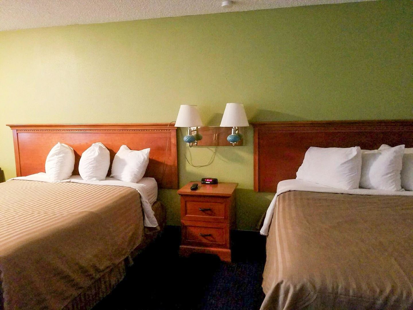 oyo hotel centralia
