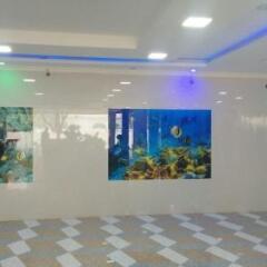 hotel shalimar palace