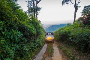 munnar