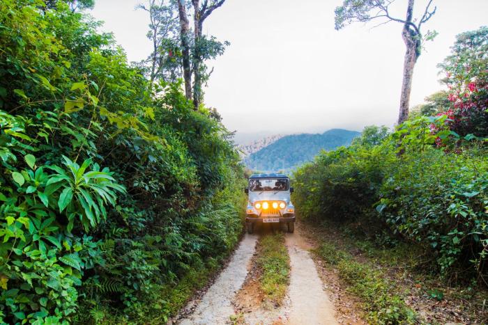 munnar