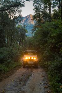 munnar