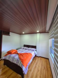 hotel casa huesped kiwi