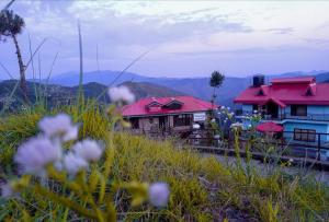 nature nest eco resort