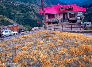 nature nest eco resort