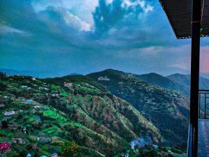 nature nest eco resort