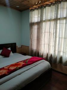 nature nest eco resort