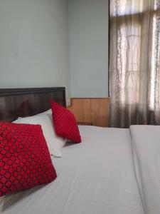 nature nest eco resort