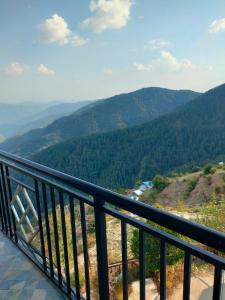 nature nest eco resort