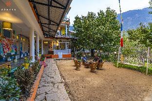 zostel manali old manali