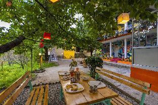 zostel manali old manali