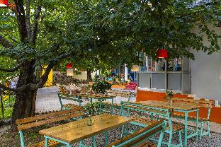 zostel manali old manali