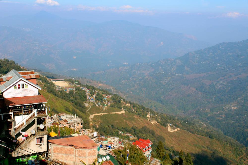 darjeeling