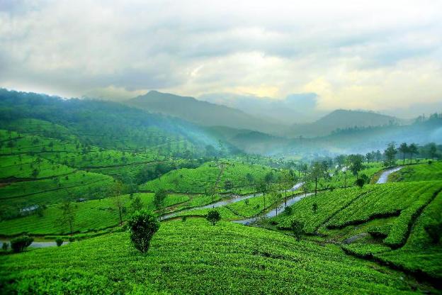 munnar