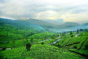 munnar