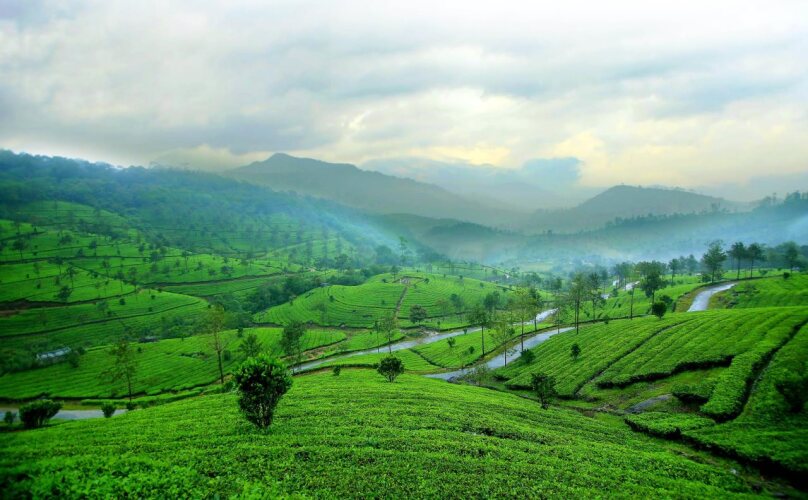 munnar