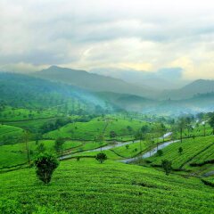 munnar