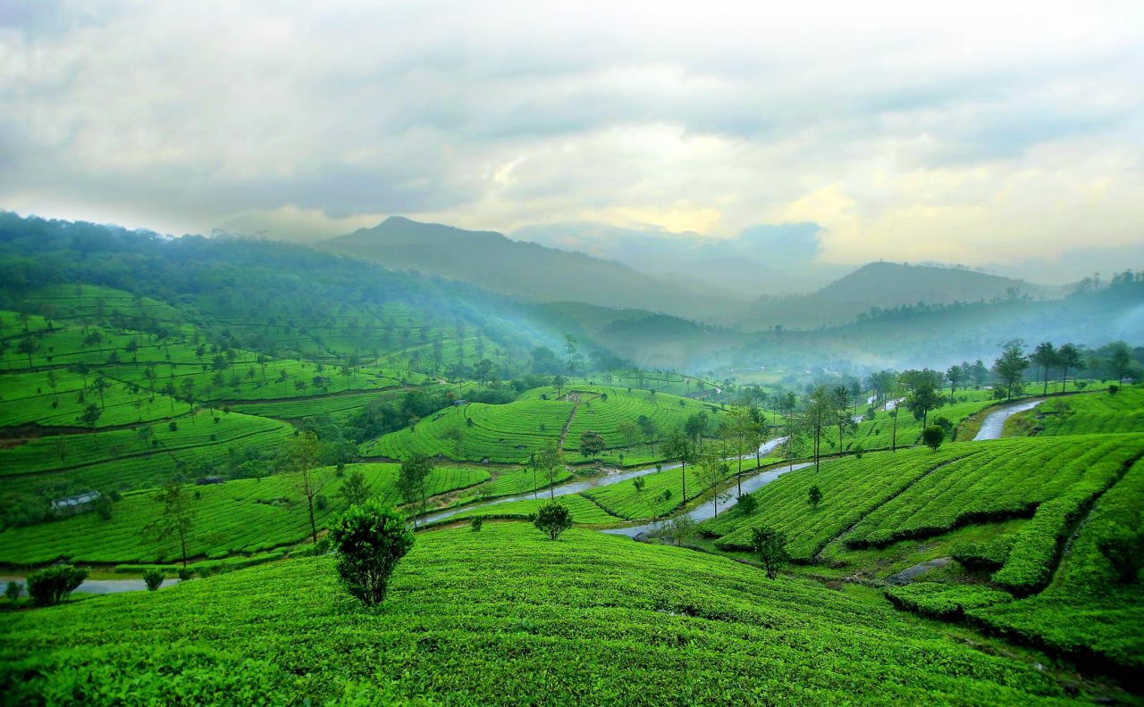 munnar