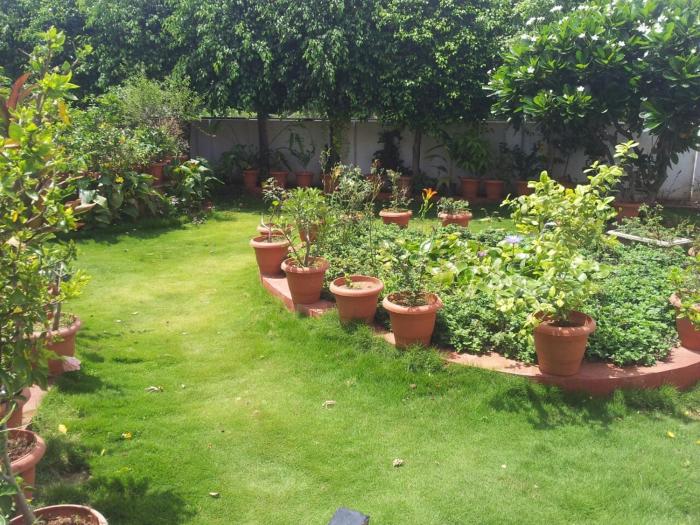 sarang lodging and boarding