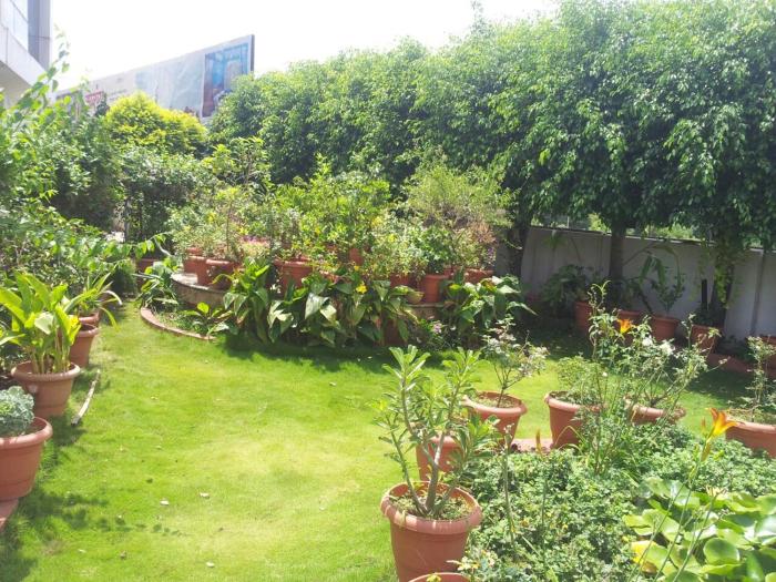 sarang lodging and boarding