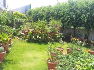 sarang lodging and boarding