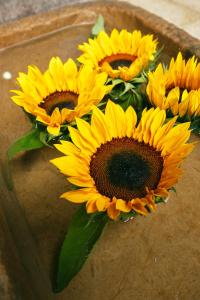 Hotel Retiro 84 By Mij,Bogotá>>Bogota,4 star