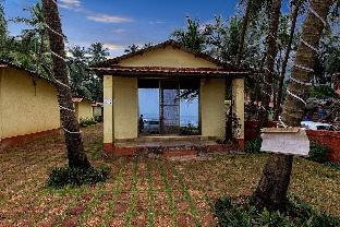 dapoli