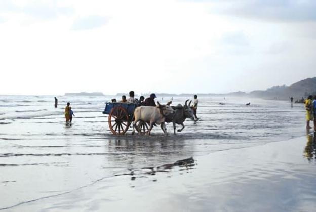 dapoli