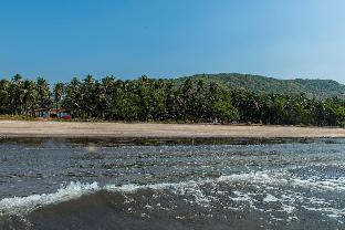 dapoli