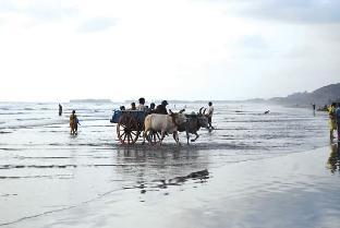 dapoli