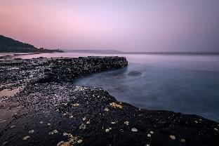 dapoli